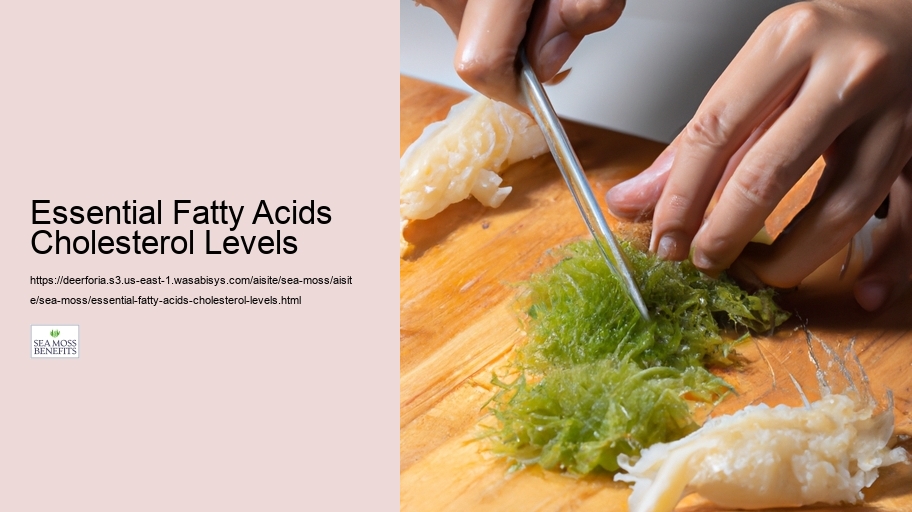 Essential Fatty Acids Cholesterol Levels