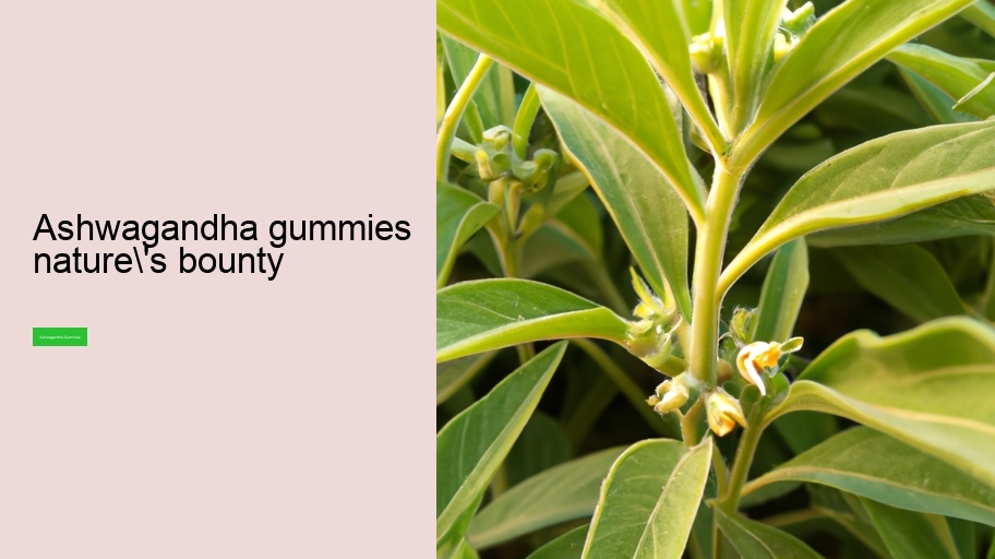 ashwagandha gummies nature's bounty