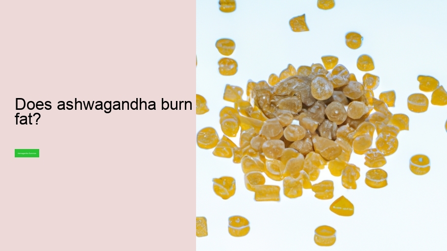 Does ashwagandha burn fat?