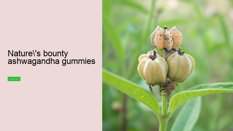 nature's bounty ashwagandha gummies