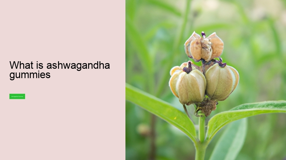 what is ashwagandha gummies