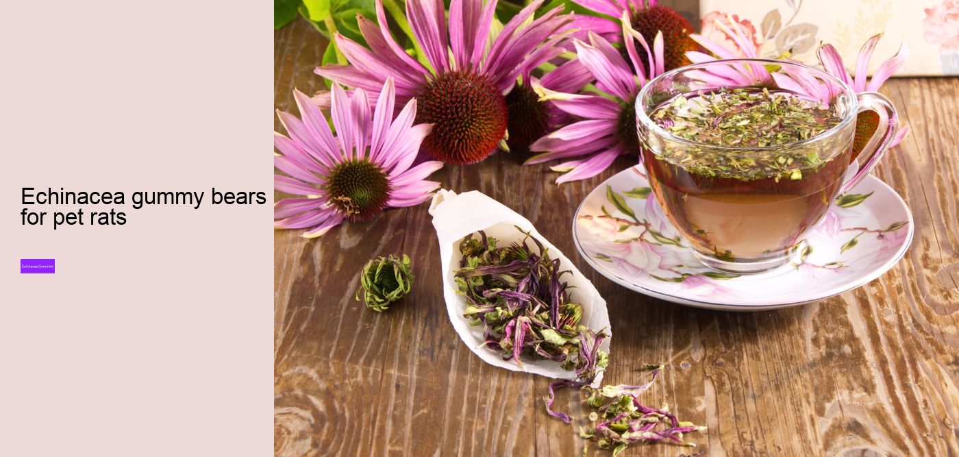What are the pros and cons of echinacea?