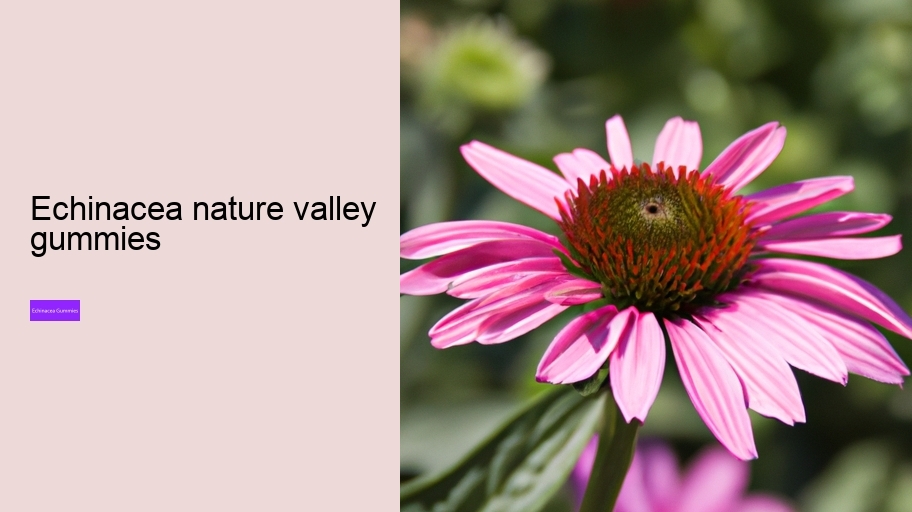 echinacea nature valley gummies