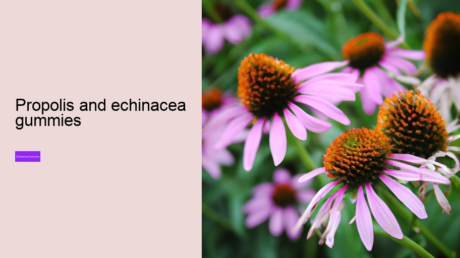 propolis and echinacea gummies