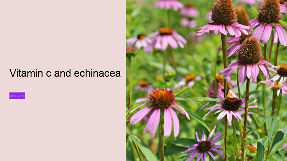 vitamin c and echinacea