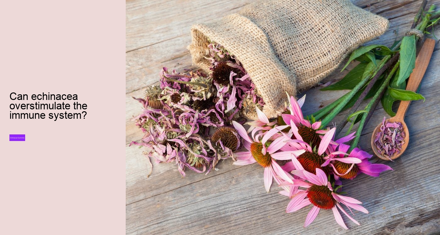 elderberry and echinacea gummies