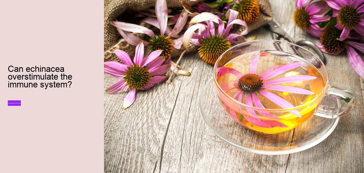 Why not take echinacea on an empty stomach?