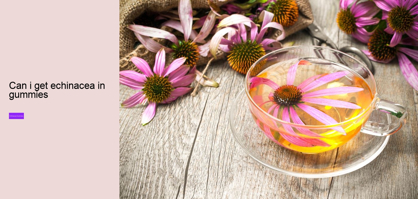 Is echinacea an antibiotic?