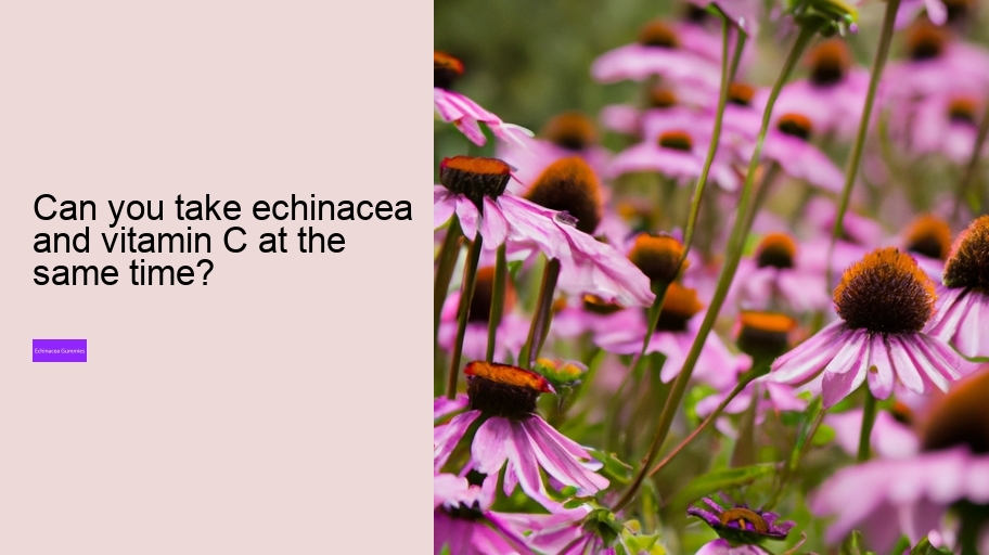 Can you take echinacea and vitamin C at the same time?