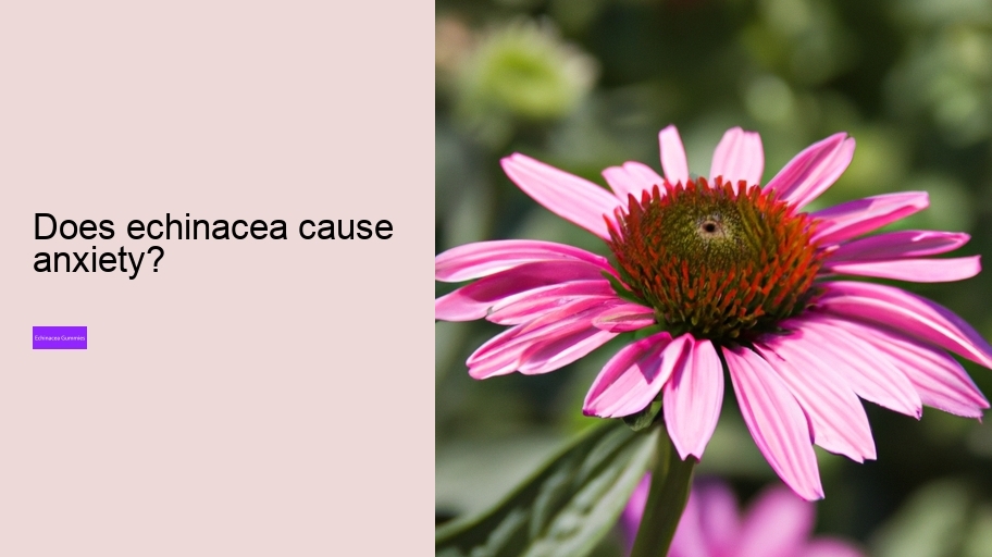 Does echinacea cause anxiety?