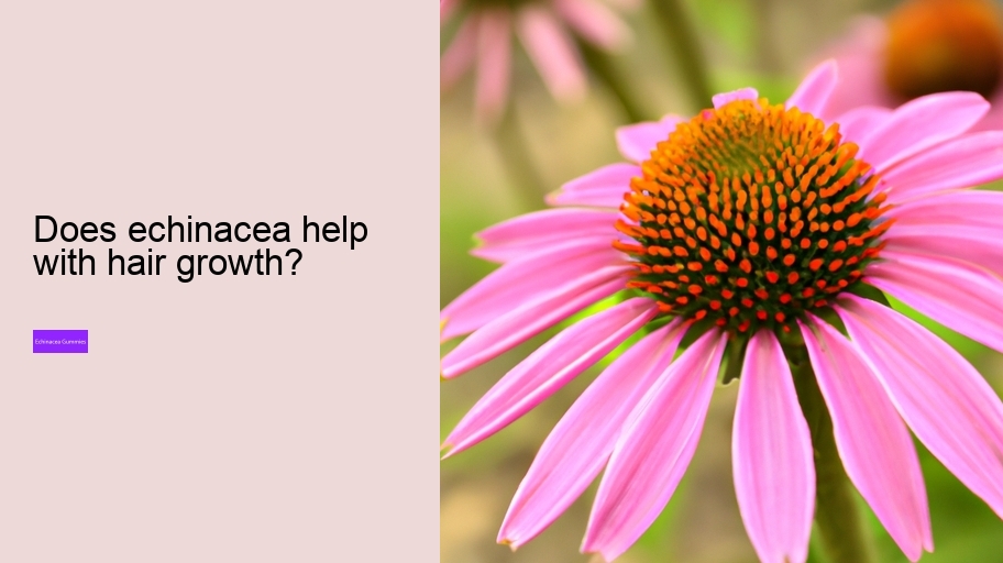 Does echinacea help with hair growth?