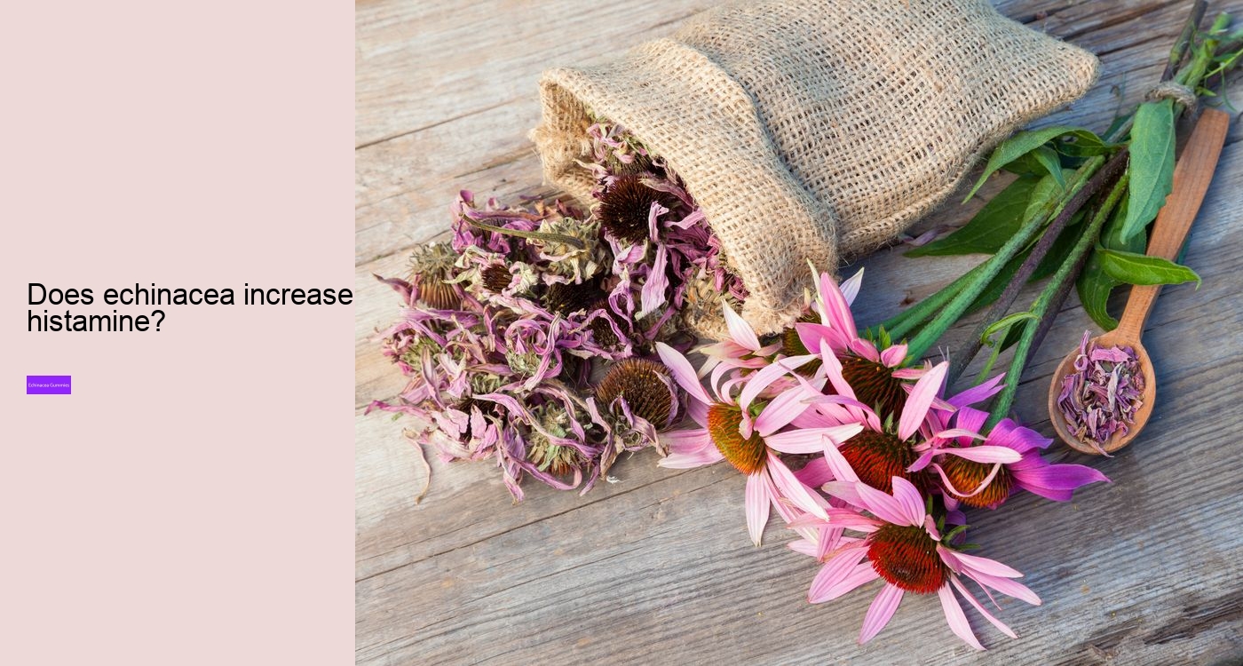 Does echinacea cleanse your body?