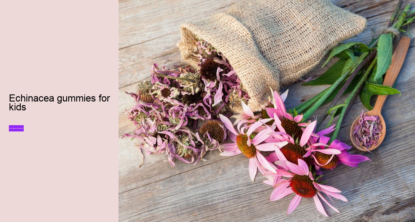 Is echinacea good for anxiety?