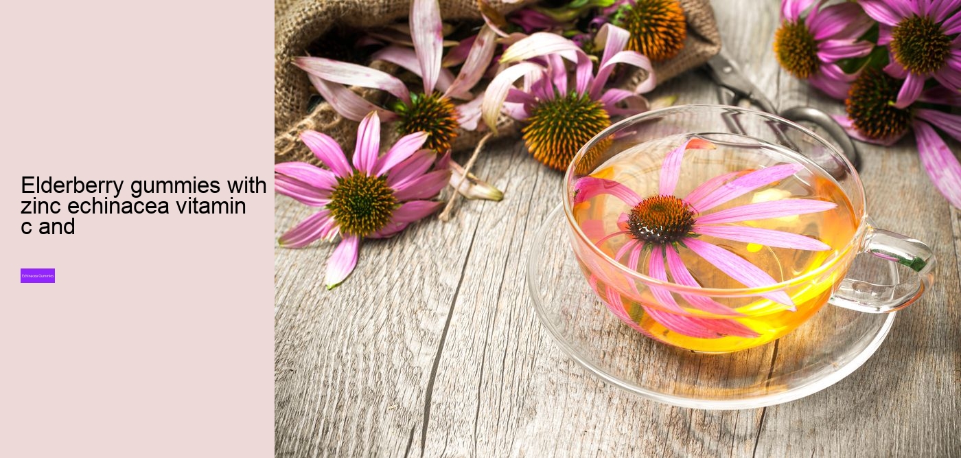 How does echinacea help your immune system?