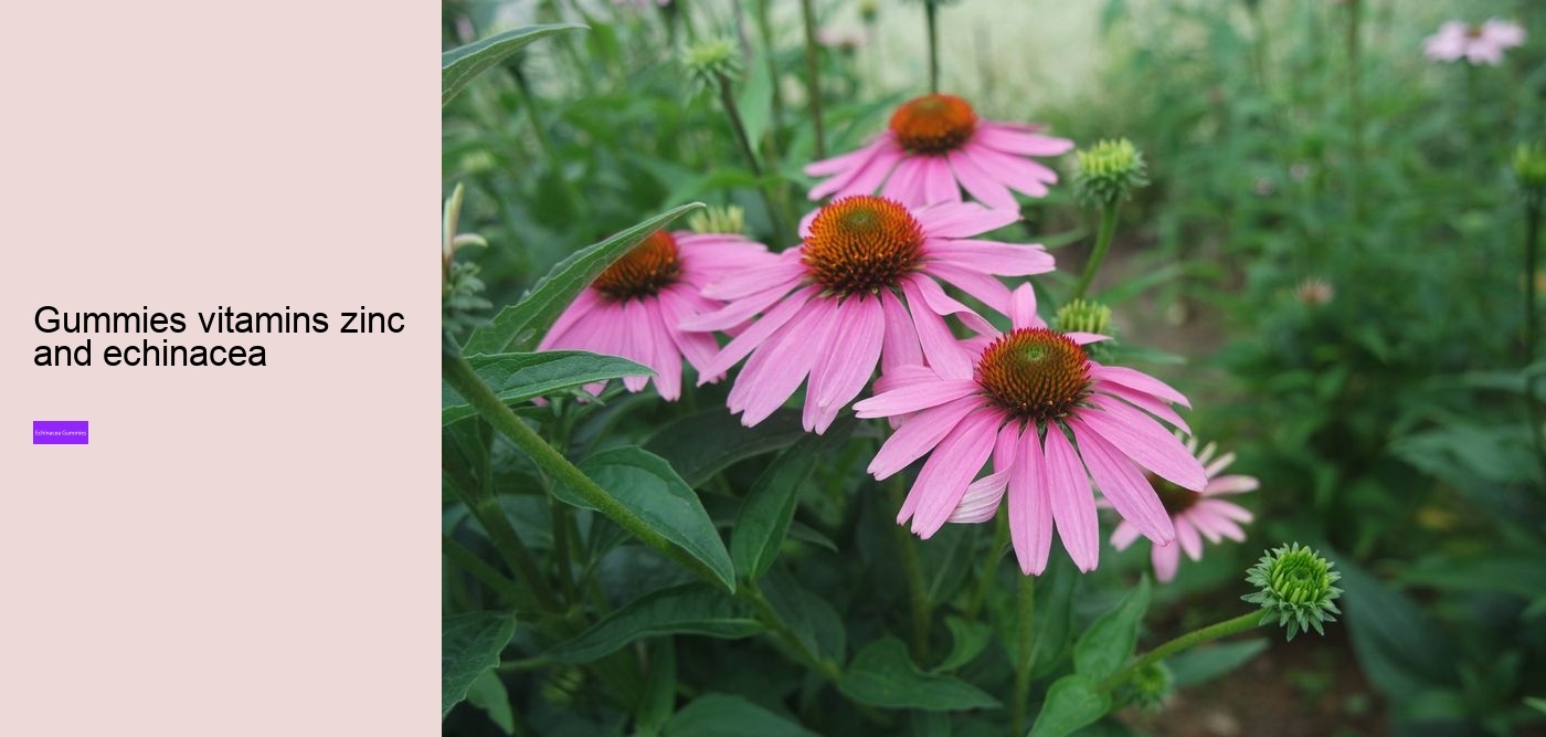 echinacea gummy bears