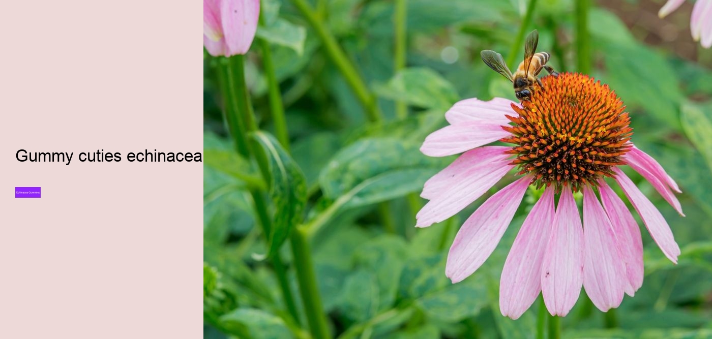 What are the pros and cons of echinacea?