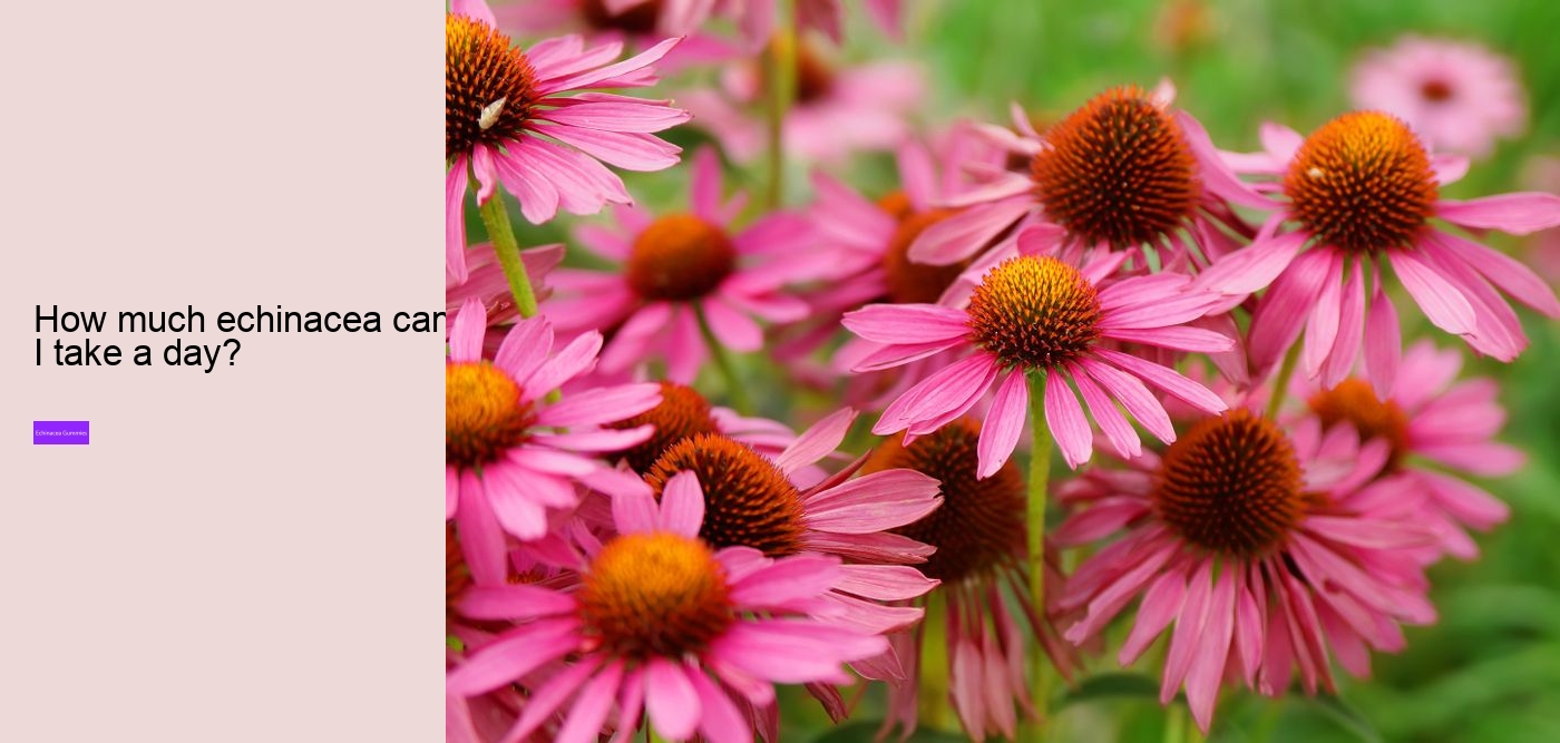 What does echinacea do for hormones?