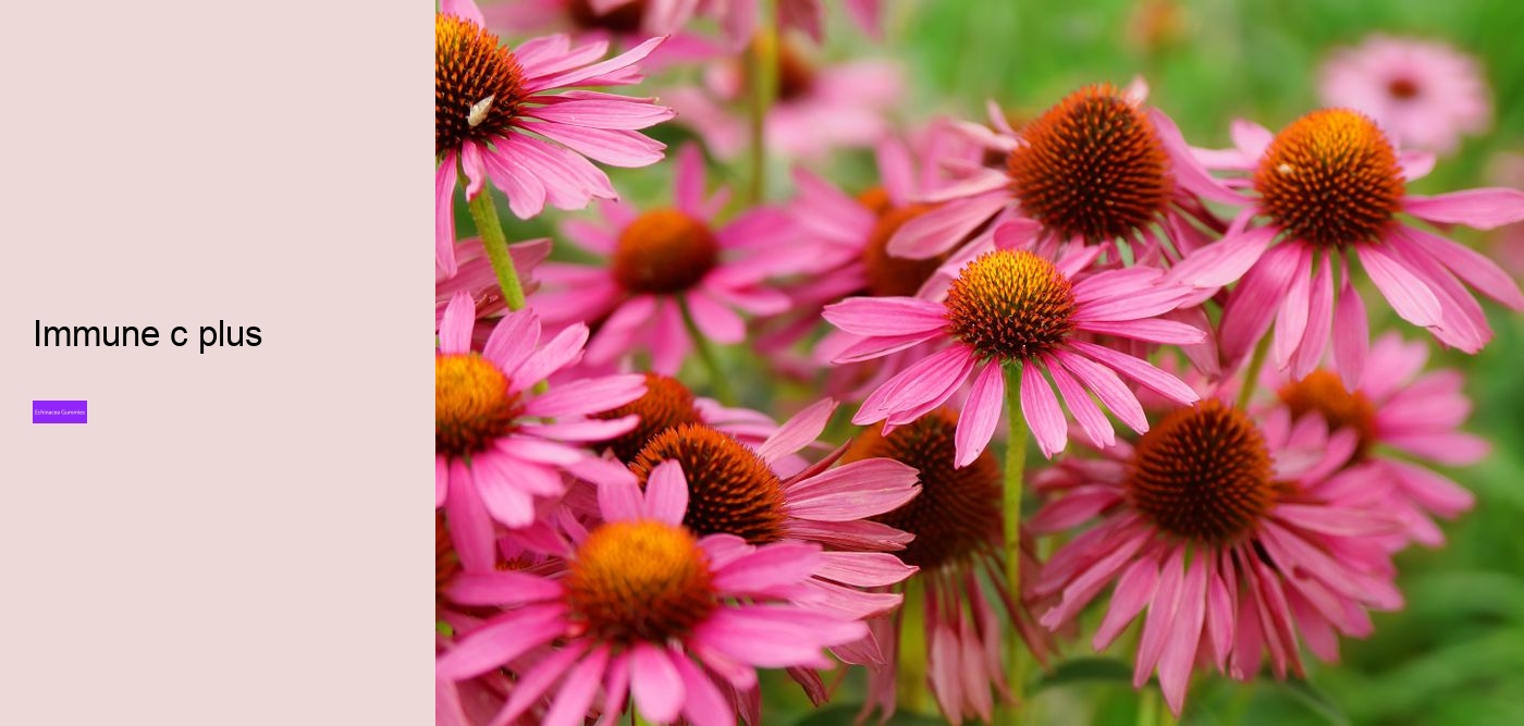 What drugs does echinacea interact with?