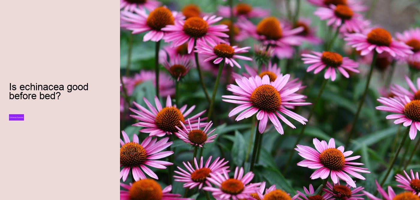 Does echinacea work immediately?