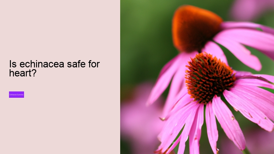 Is echinacea safe for heart?