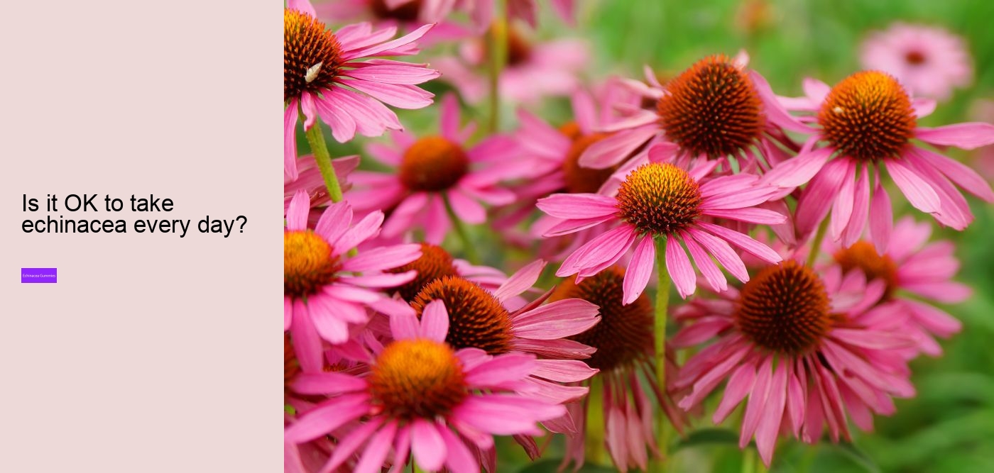 echinacea zinc