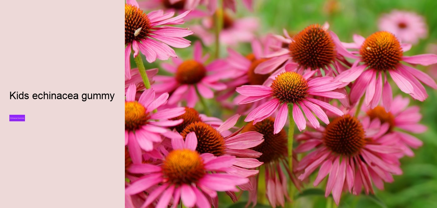 echinacea for kids