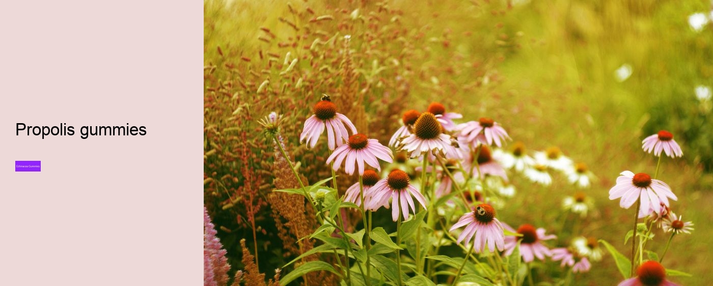 Does echinacea cause anxiety?