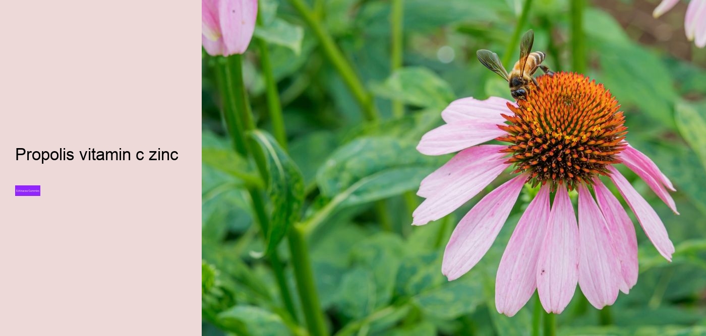 Does echinacea have caffeine?