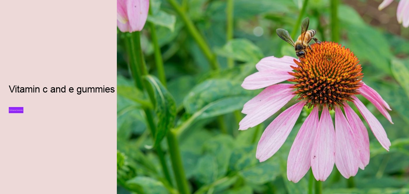 echinacea zinc and vitamin c