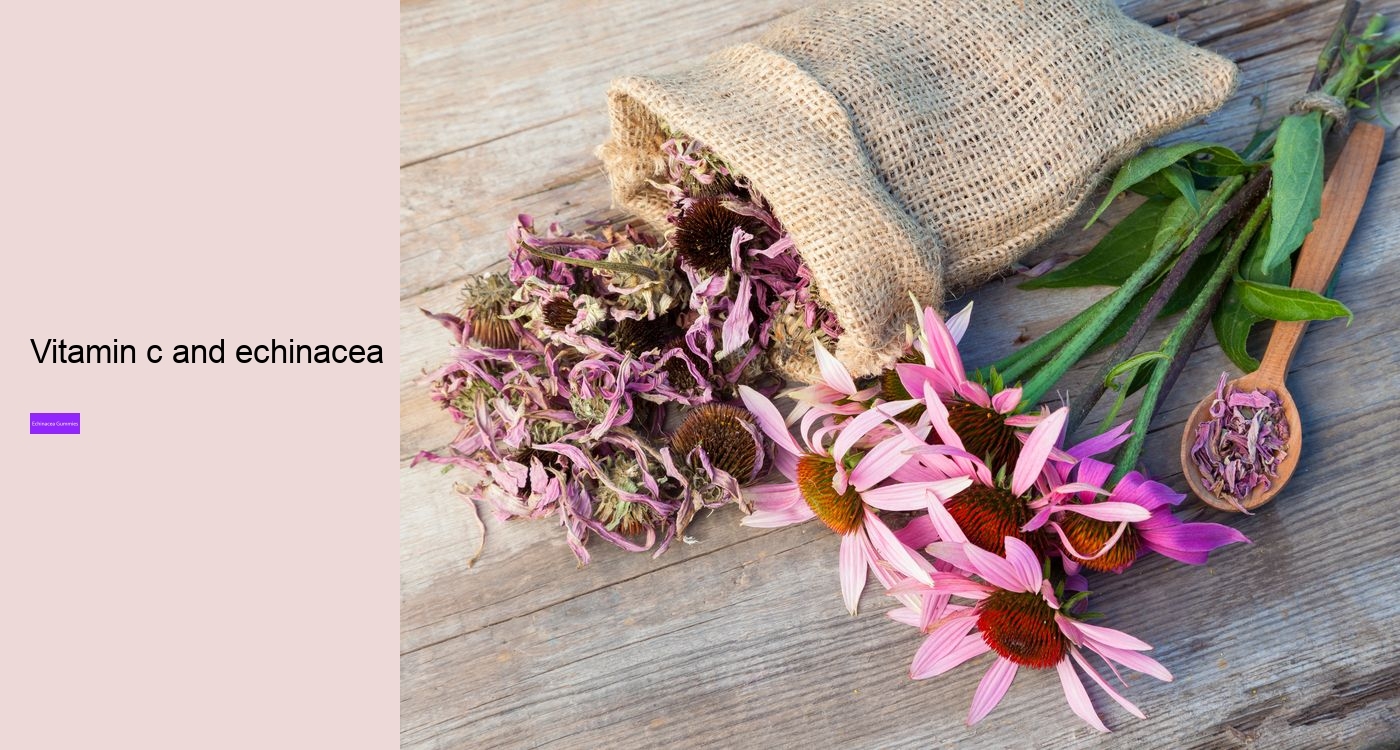 Why not take echinacea on an empty stomach?