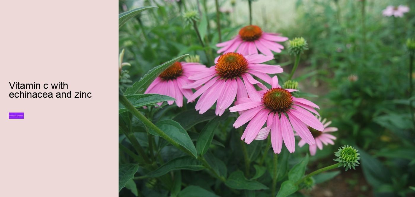 vitamin c with echinacea and zinc