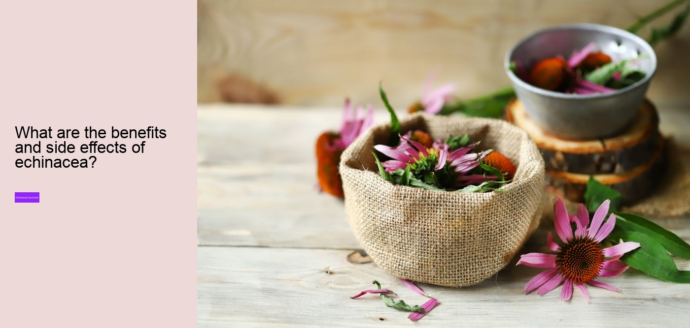 Does echinacea help when you are already sick?