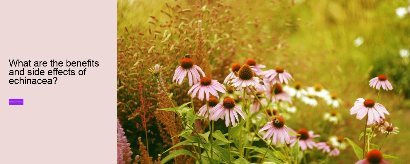 multivitamin gummies with echinacea