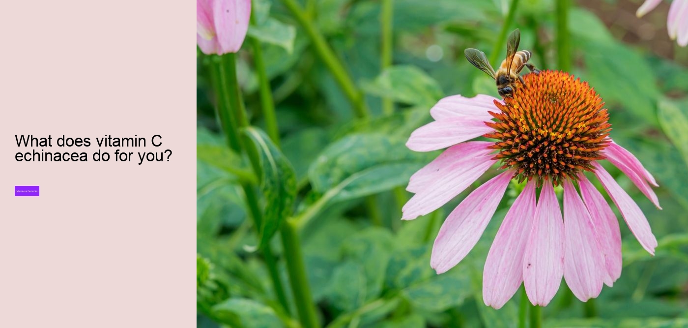 What are the benefits of propolis and echinacea gummies?