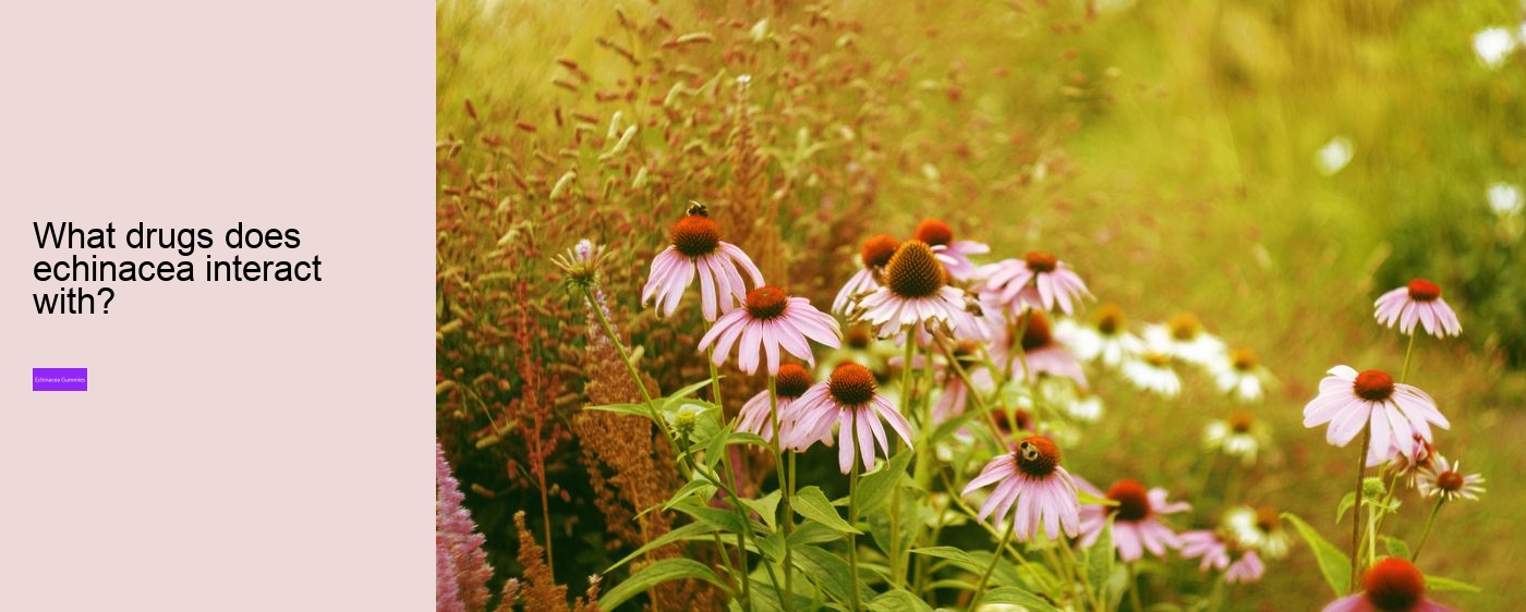 echinacea nature valley gummies