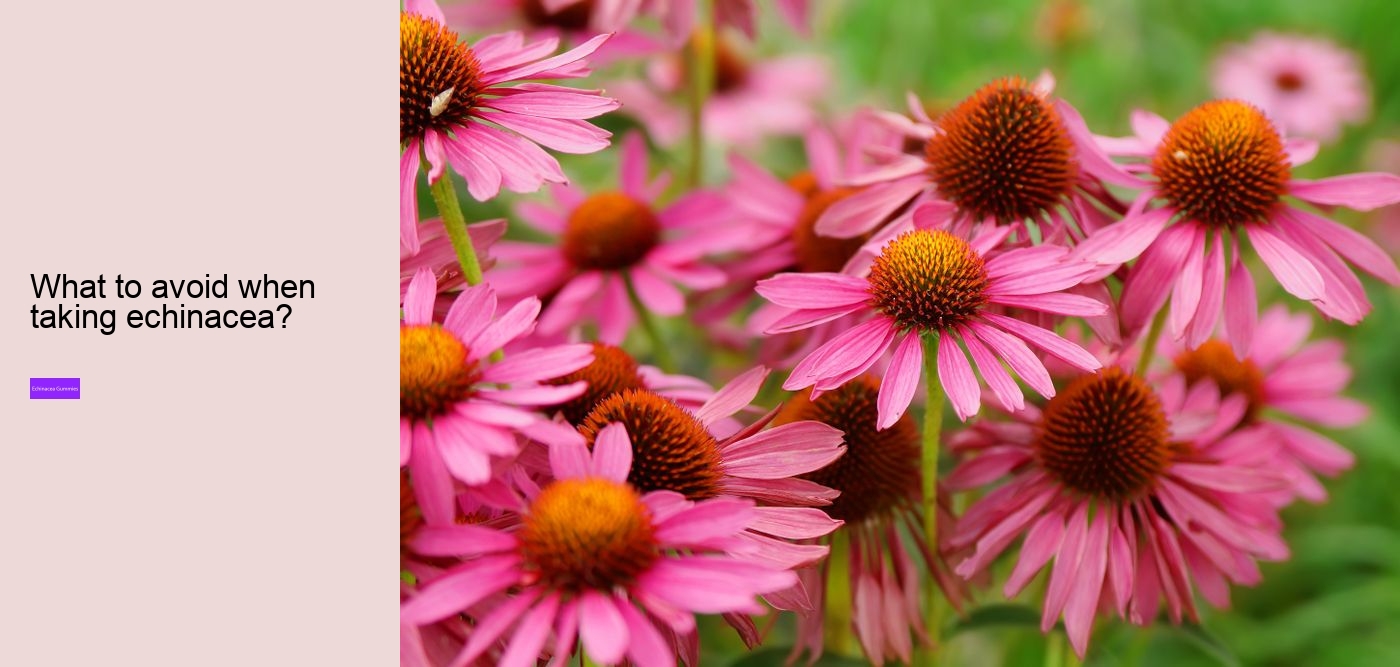 echinacea gummies