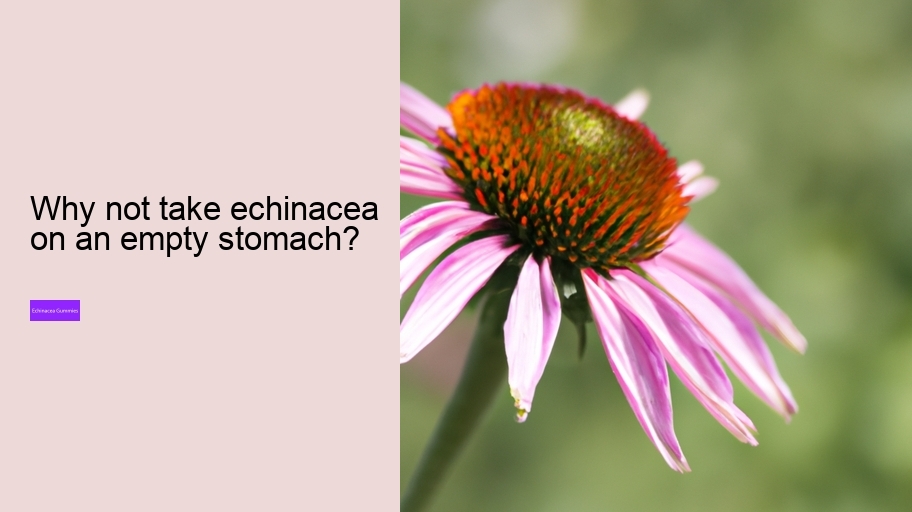 Why not take echinacea on an empty stomach?