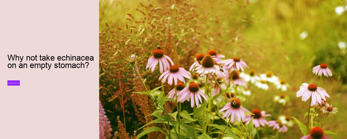 Does echinacea help when you are already sick?