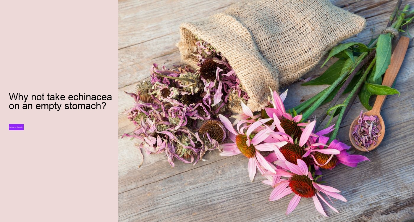 What are the pros and cons of echinacea?