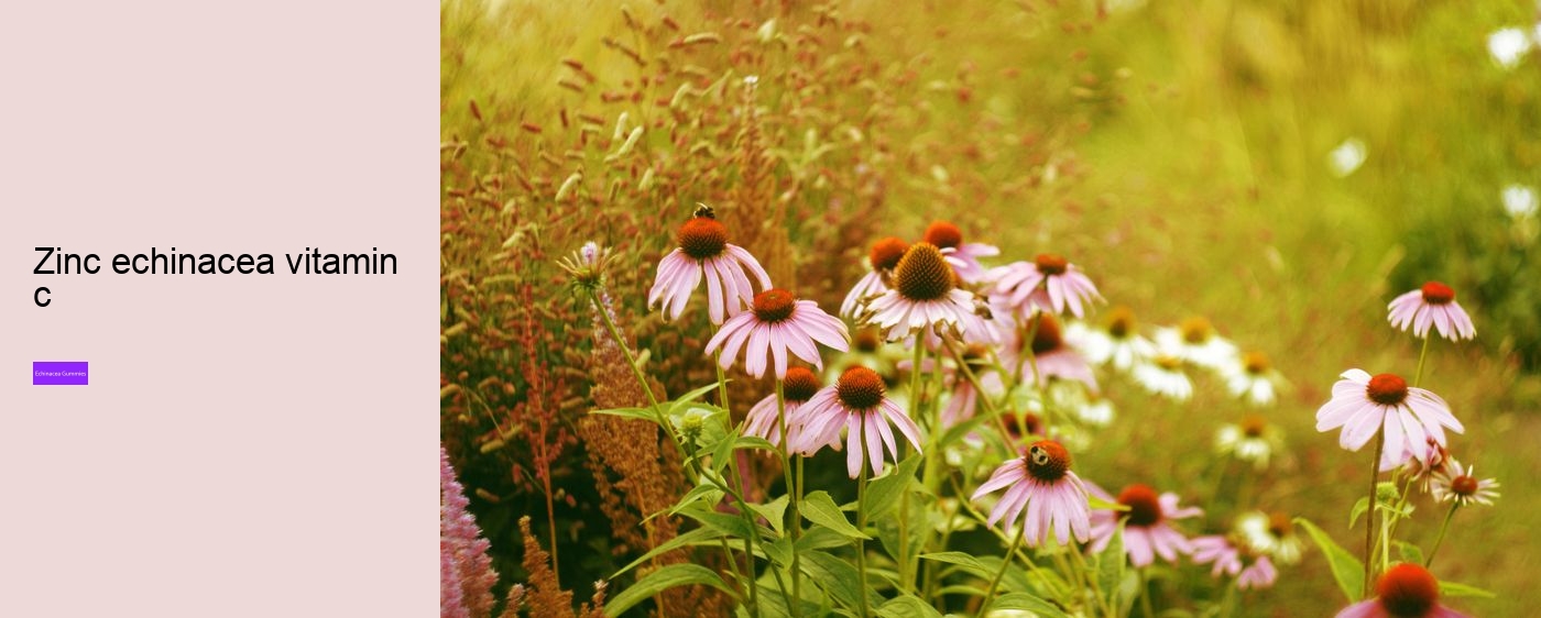 elderberry and echinacea gummies