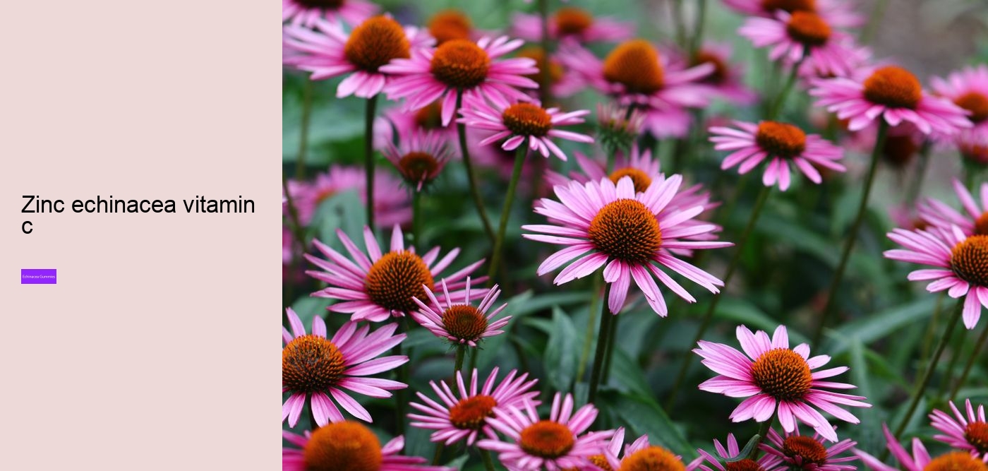 echinacea gummy