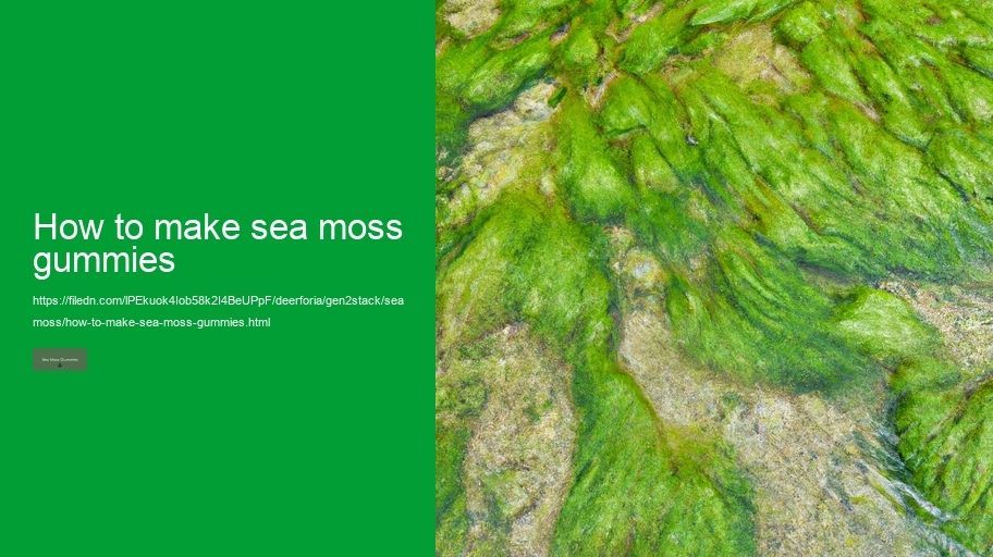 how to make sea moss gummies