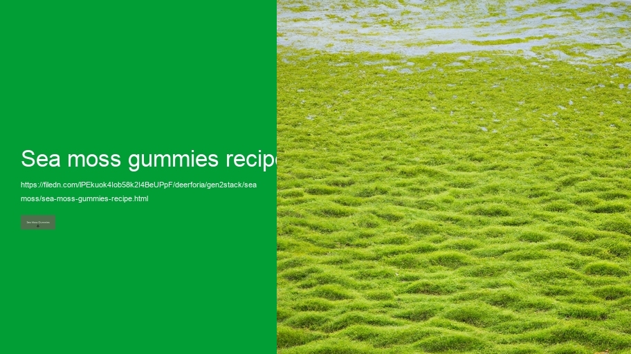 sea moss gummies recipe