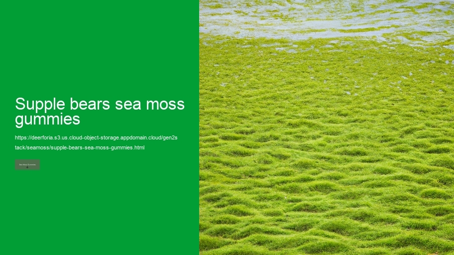supple bears sea moss gummies