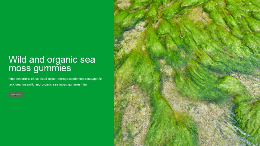 wild and organic sea moss gummies