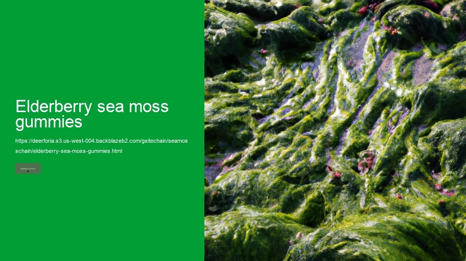 elderberry sea moss gummies