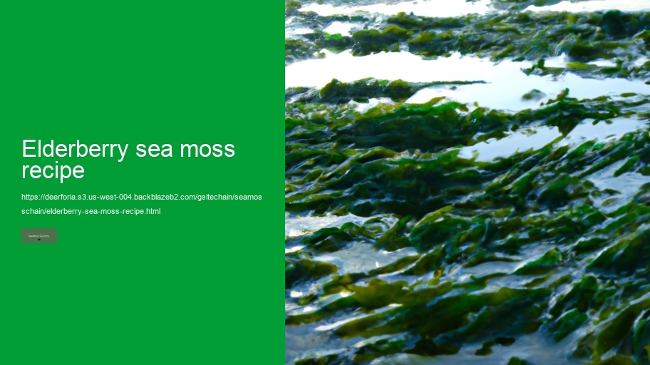 elderberry sea moss recipe
