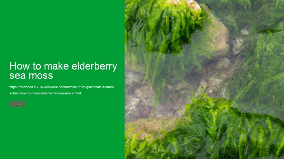 how to make elderberry sea moss