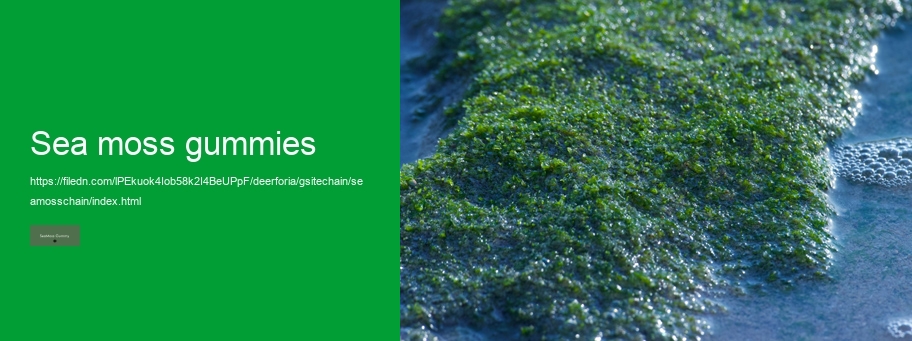 sea moss and metformin