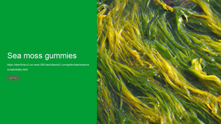 sea moss gummies